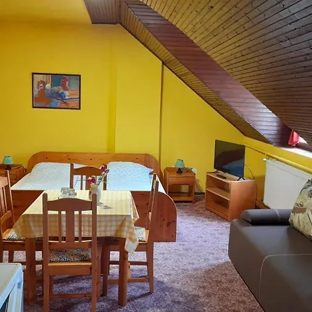 Centrum Apartman 招待所